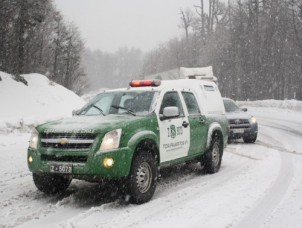 Carabineros Pajaritos