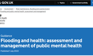 Inundaciones y salud: evaluación y gestión de la salud mental